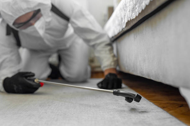 Professional Termite Control technician working in Earle, AR