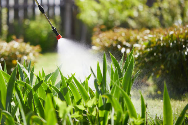 24/7 Emergency Termite Control experts in Earle, AR